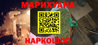 бошки Кингисепп