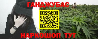 бошки Кингисепп
