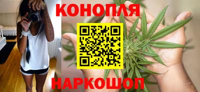 бошки Кингисепп