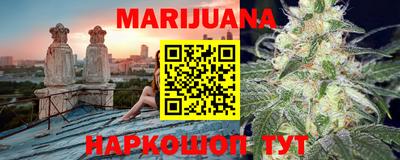 бошки Кингисепп