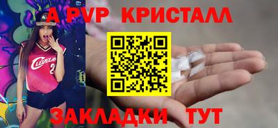 бошки Кингисепп