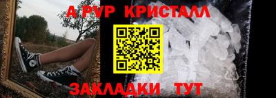 бошки Кингисепп