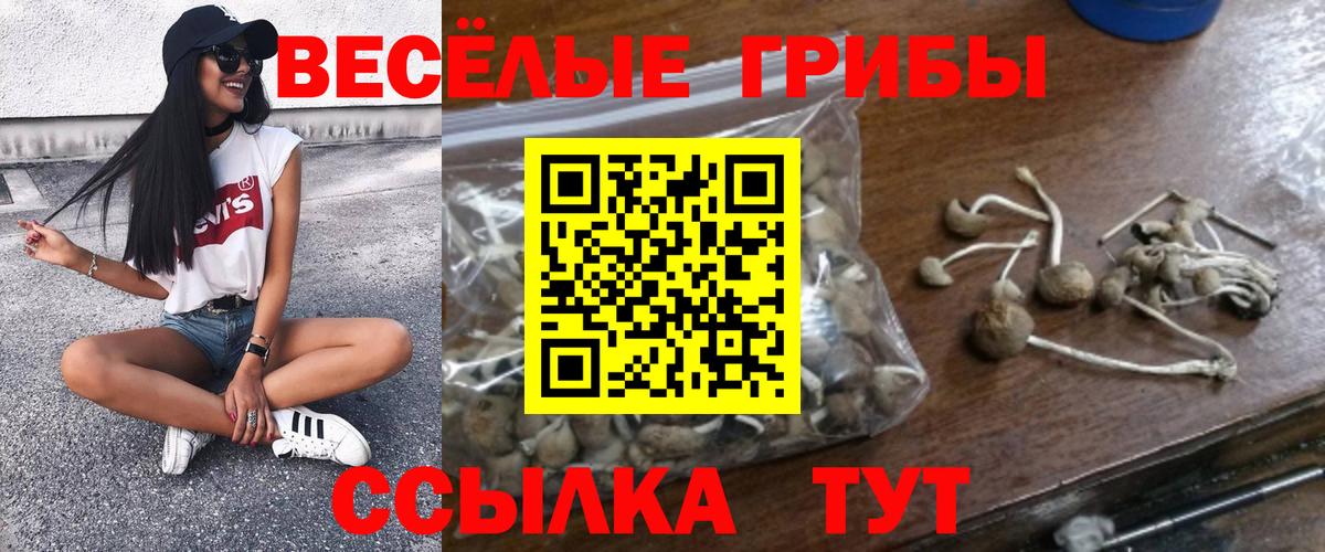 Симферополь  Псилоцибиновые грибы мухоморы  Вход с VPN  Галлюциногенные грибы мицелий 
