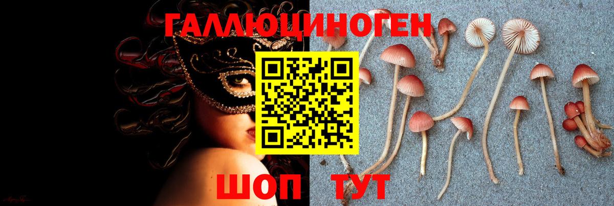 Псилоцибиновые грибы прущие грибы  Галлюциногенные грибы MAGIC MUSHROOMS  Симферополь 